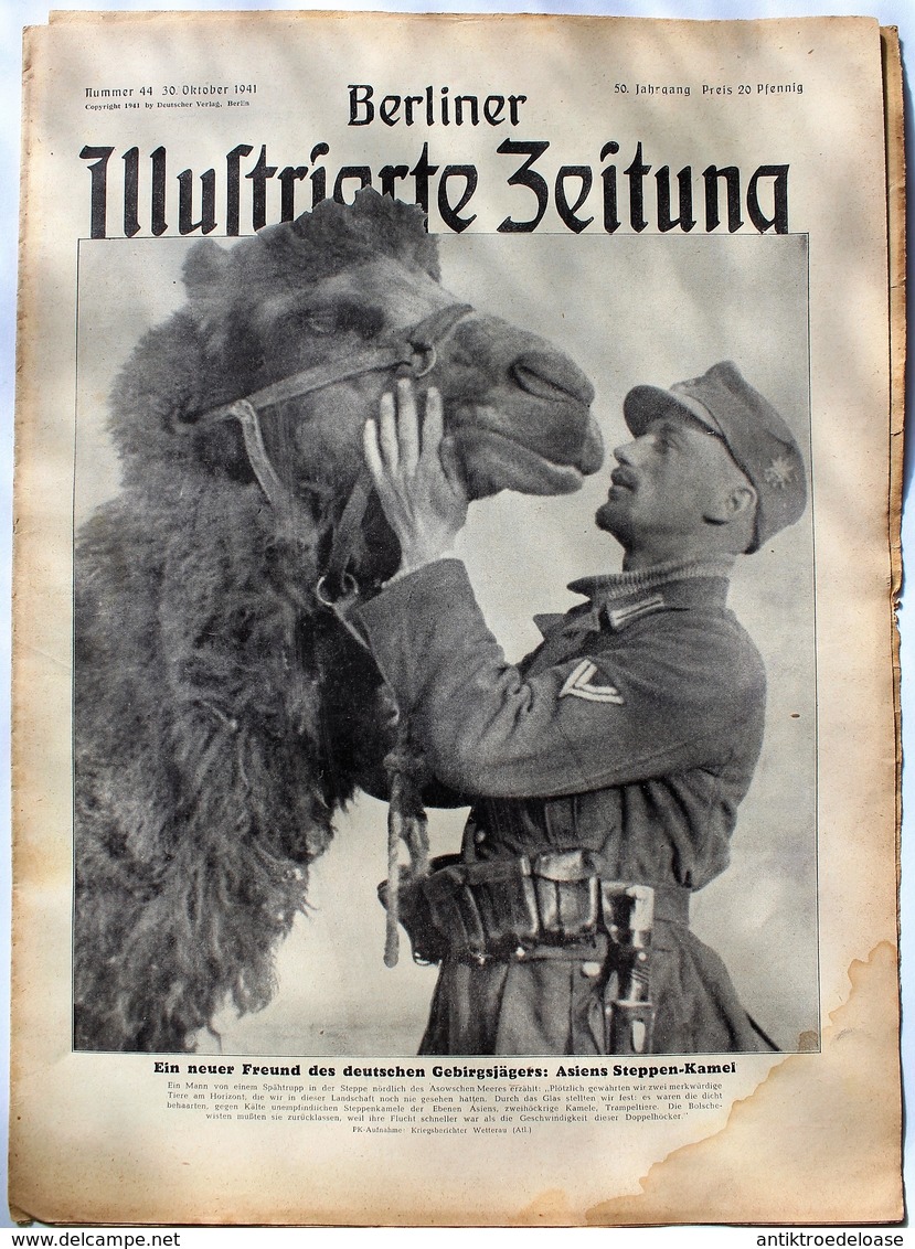 Berliner Illustrierte Zeitung 1941 Nr.44 Freund Des Deutschen Gebirgsjägers: Asiens Steppen-Kamel - Deutsch