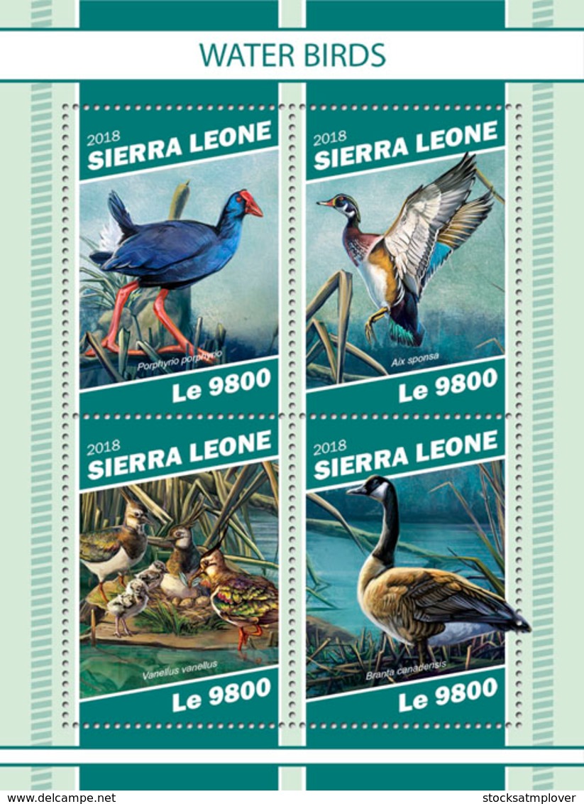 Sierra  Leone  2018  Fauna  Water Birds S201901 - Sierra Leone (1961-...)