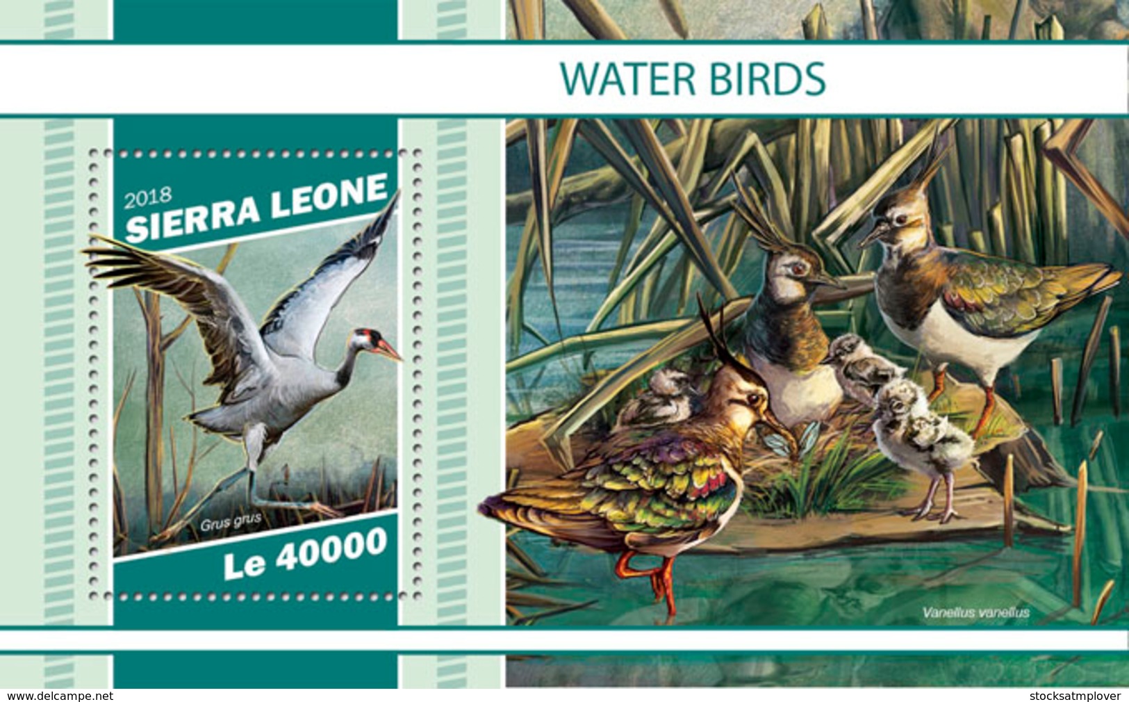Sierra  Leone  2018  Fauna  Water Birds S201901 - Sierra Leone (1961-...)