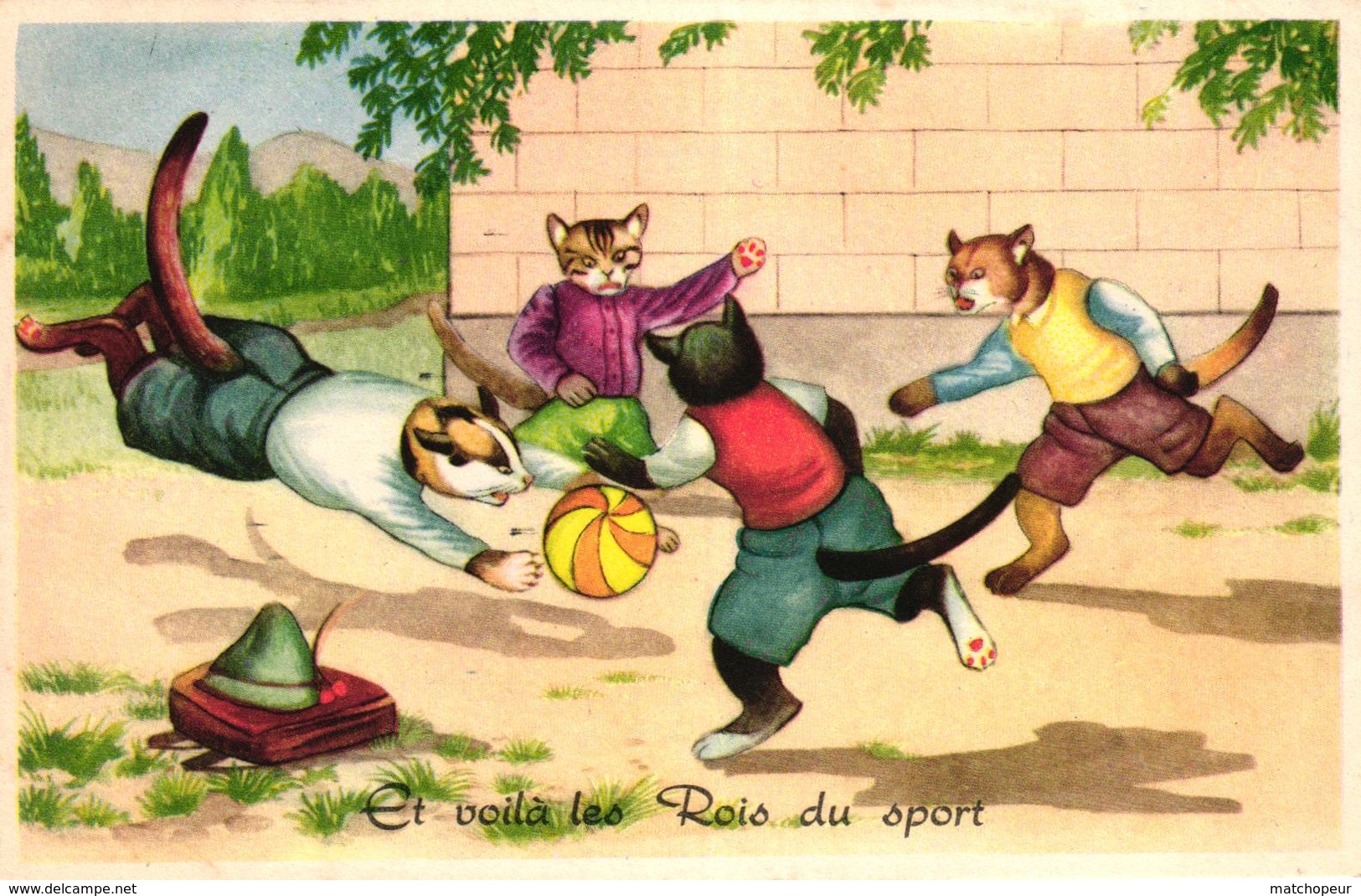 CPA FANTAISIE CHATS DEGUISES - ET VOILA LES ROIS DU SPORT - Dressed Animals