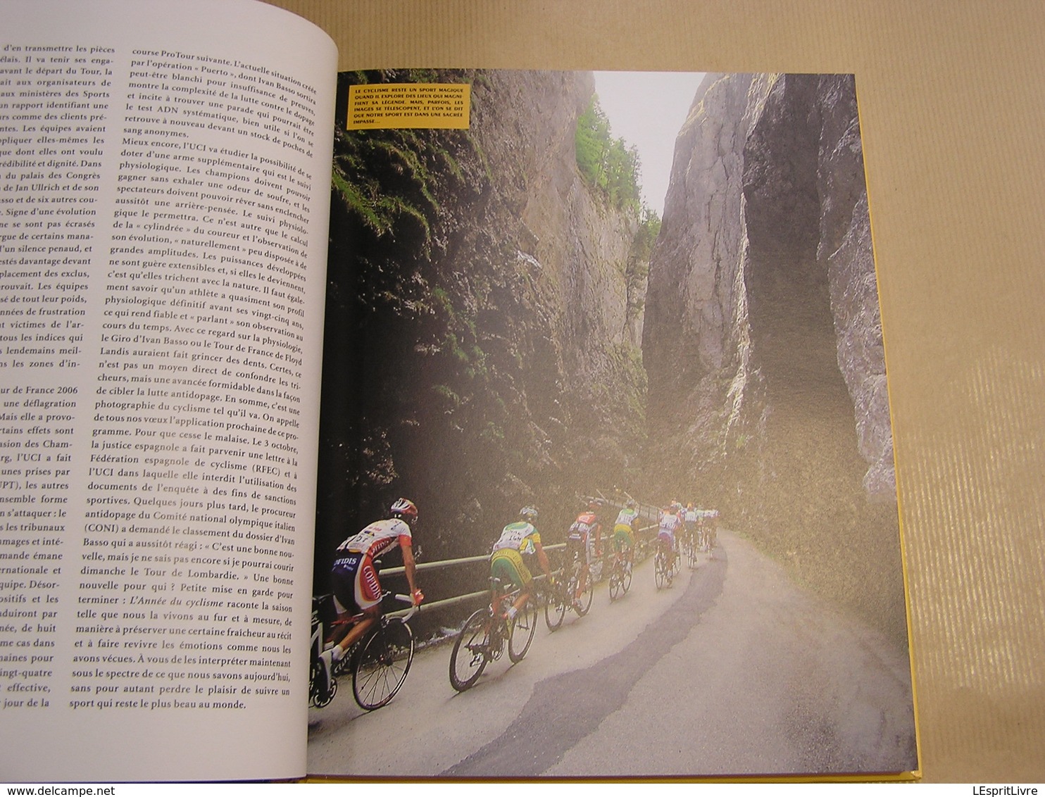 L' ANNEE DU CYCLISME 2006 Course Cycliste Coureur Vélo Sprint Palmarès Résultats Classiques Tour Italie France Dopage