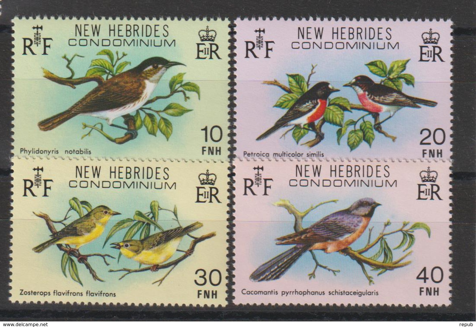 Nouvelles-Hébrides Légende Anglaise 1979 Oiseaux 579-582 ** 4val. MNH - Unused Stamps