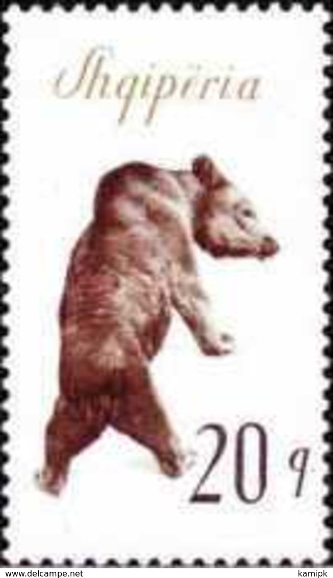 USED STAMPS Albania - The Brown Bear -1965 - Albania