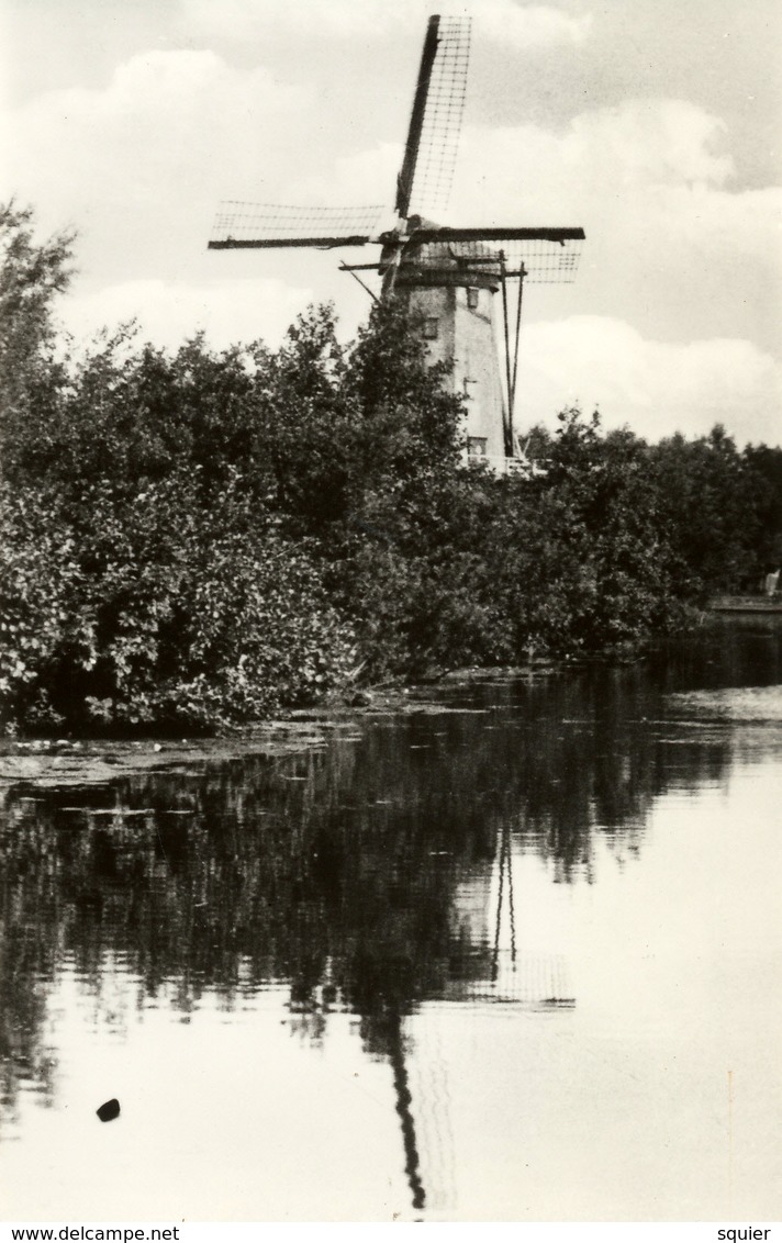 Zoeterwoude, Weipoort, Korenmolen, Windmill, Real Photo - Watermolens