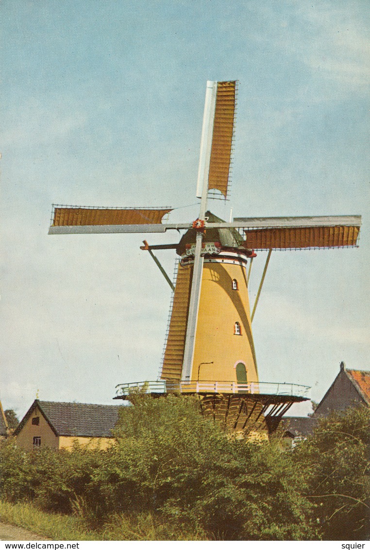 Ouddorp, Korenmolen, Windmill, De Zwaan - Watermolens