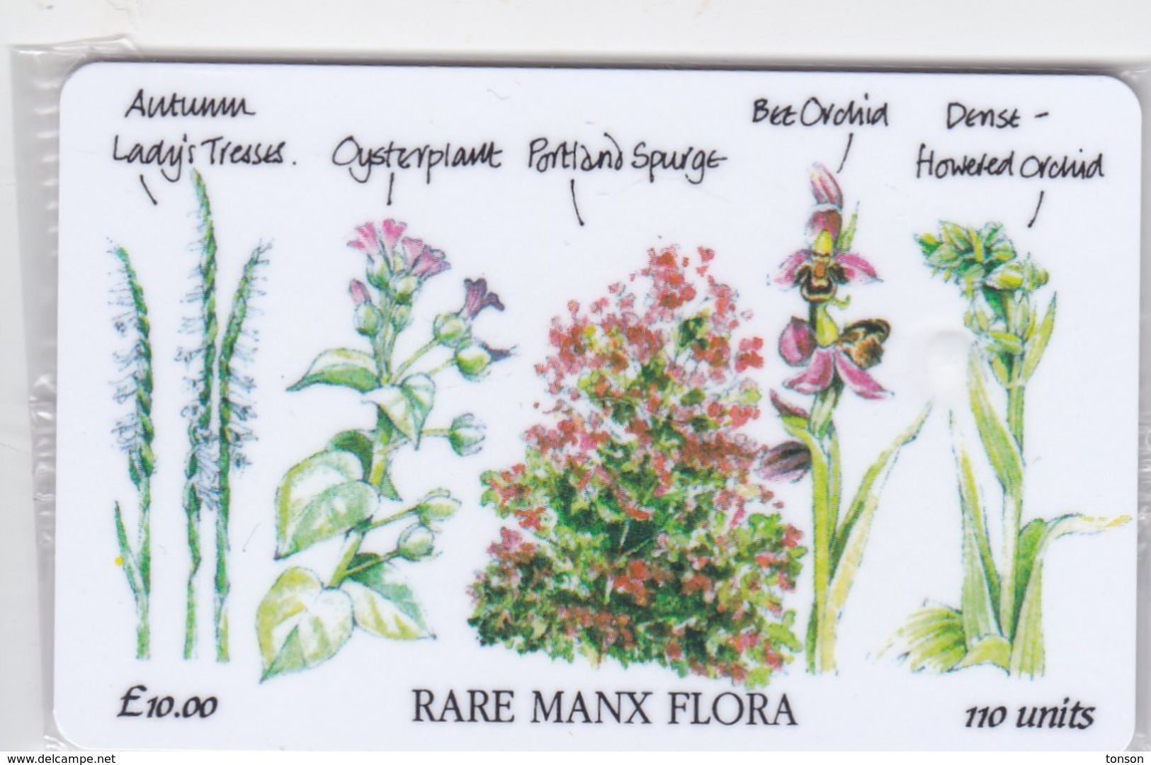 Isle Of Man, MAN 101,  10 £, Rare Manx Flora, Mint In Blister, 2 Scans. - Man (Isle Of)