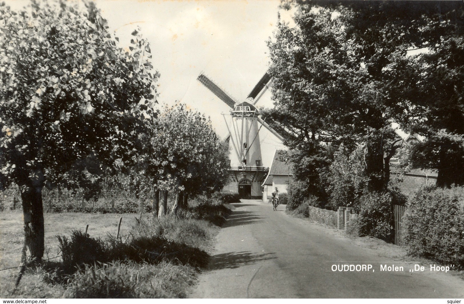 Ouddorp, Korenmolen, Windmill, De Hoop, Real Photo, Cyclist - Watermolens