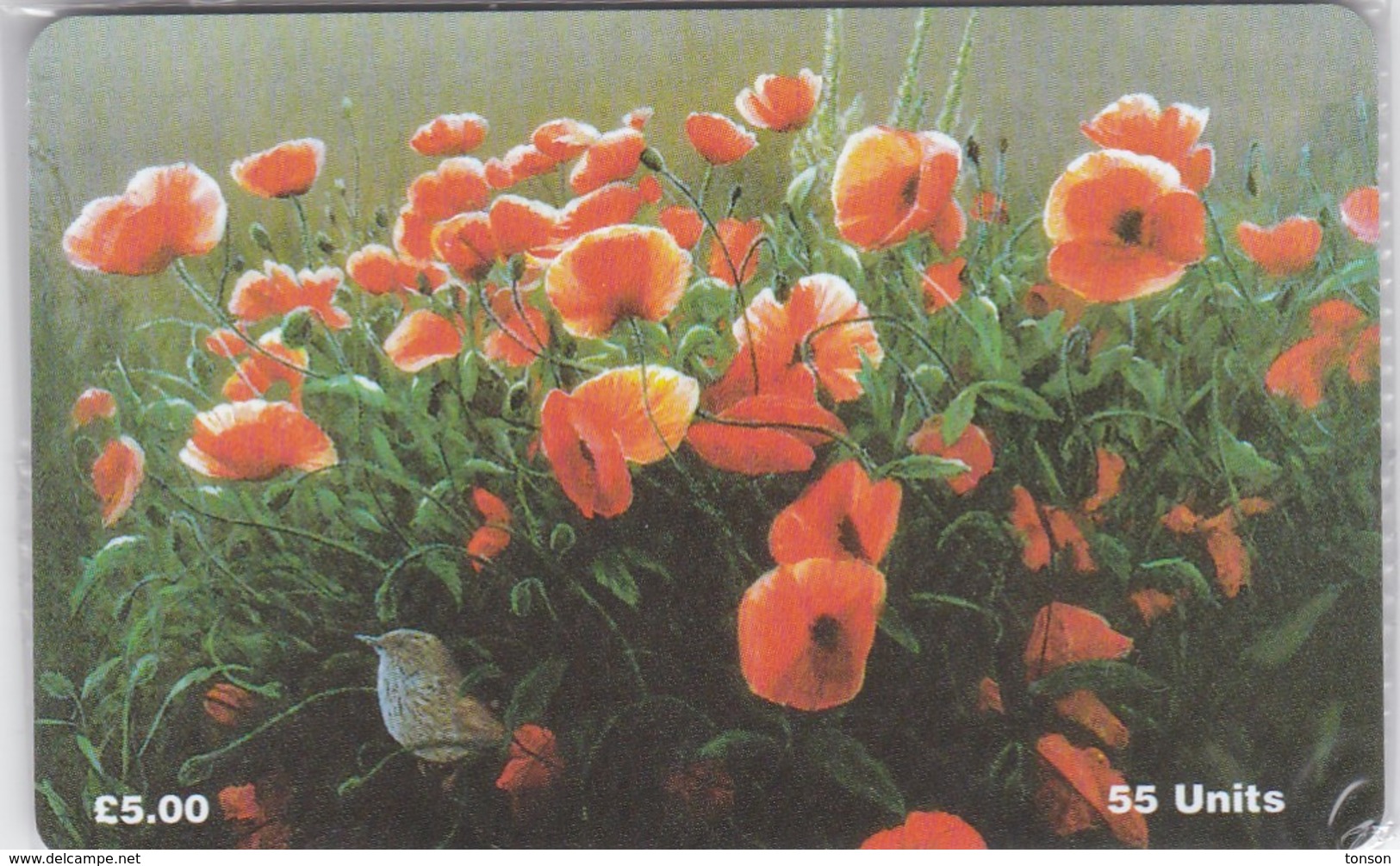 Isle Of Man, MAN 122, Poppies, Flowers, Bird, Mint In Blister, 2 Scans. - Isle Of Man