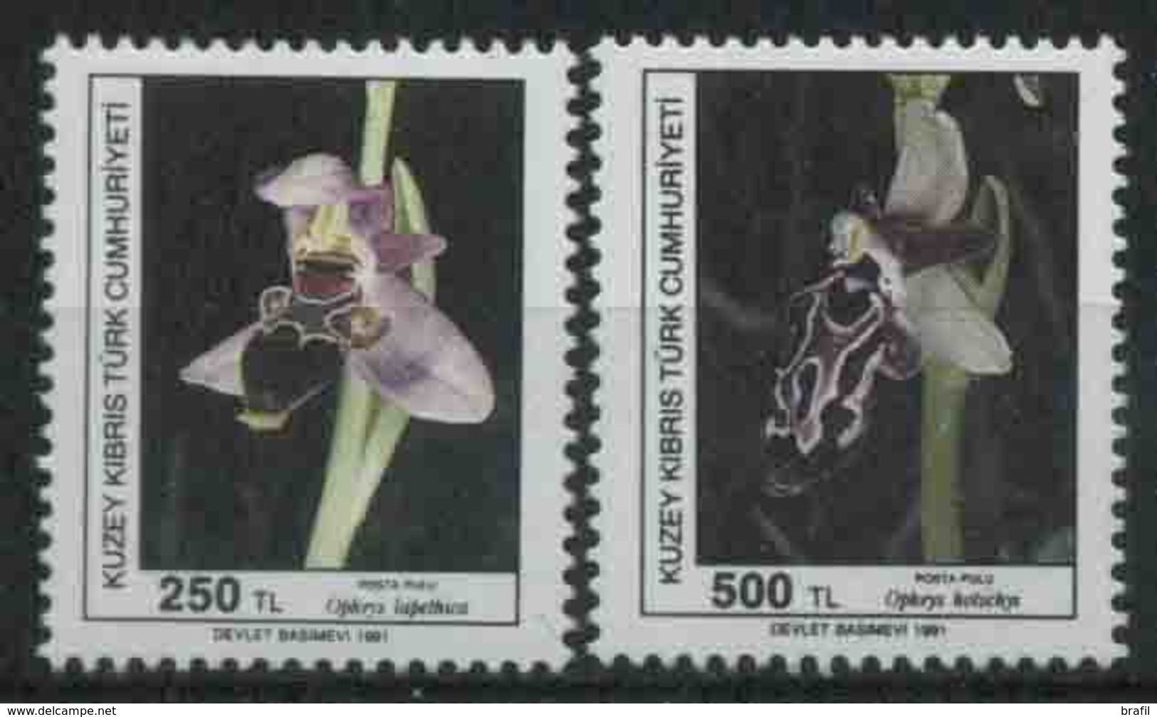 1991 Cipro Del Nord, Orchidee Fiori, Serie Completa Nuova (**) - Nuovi