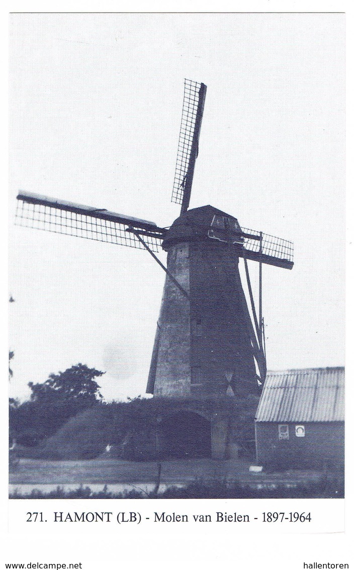 Hamont: Molen Van Bielen ( 2 Scans) - Hamont-Achel