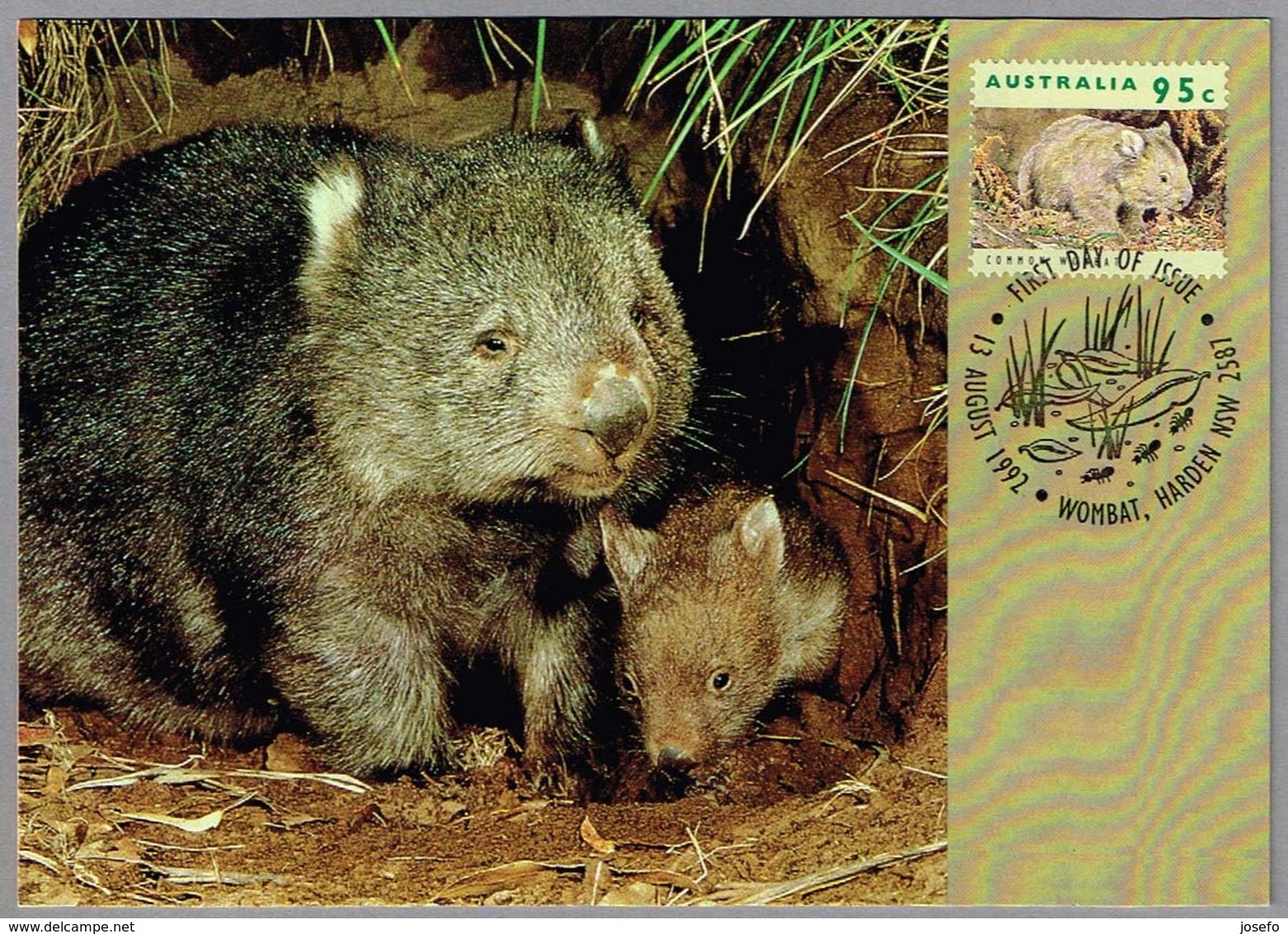 WOMBAT - Vombatidae. Wombat, Harden NSW, 1992 - Otros & Sin Clasificación