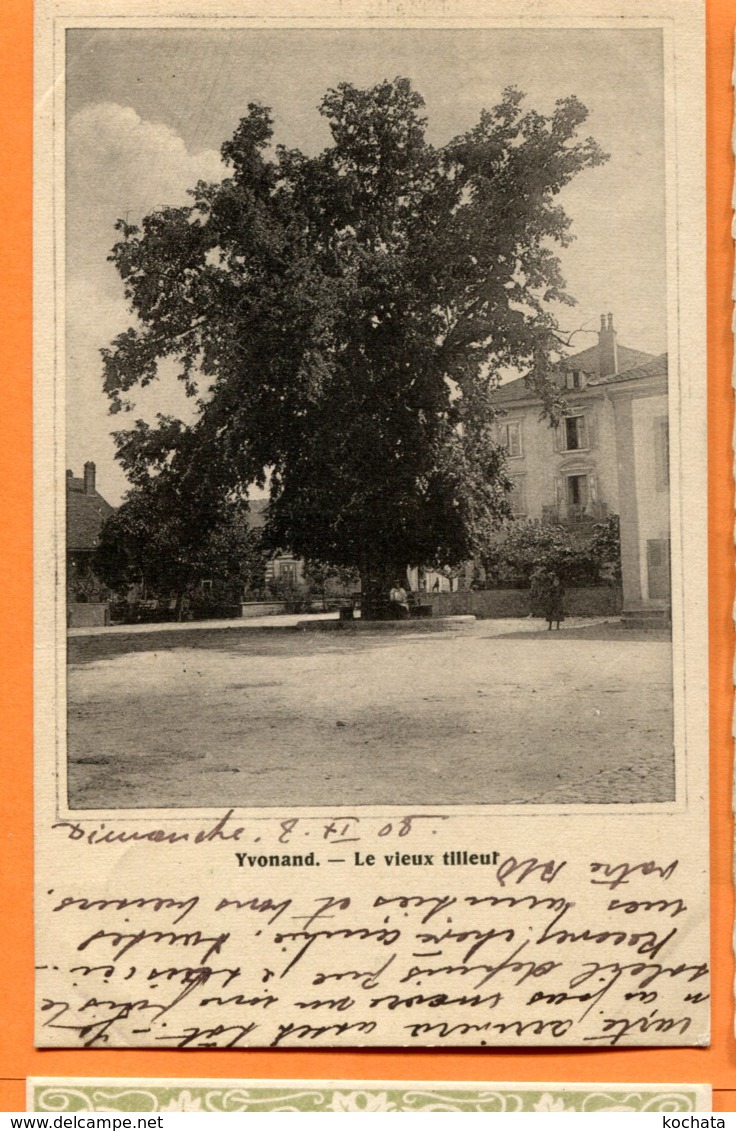 CAL831, Yvonand, Le Vieux Tilleul, Photo Reney Rovey, Circulée 1908 - Yvonand