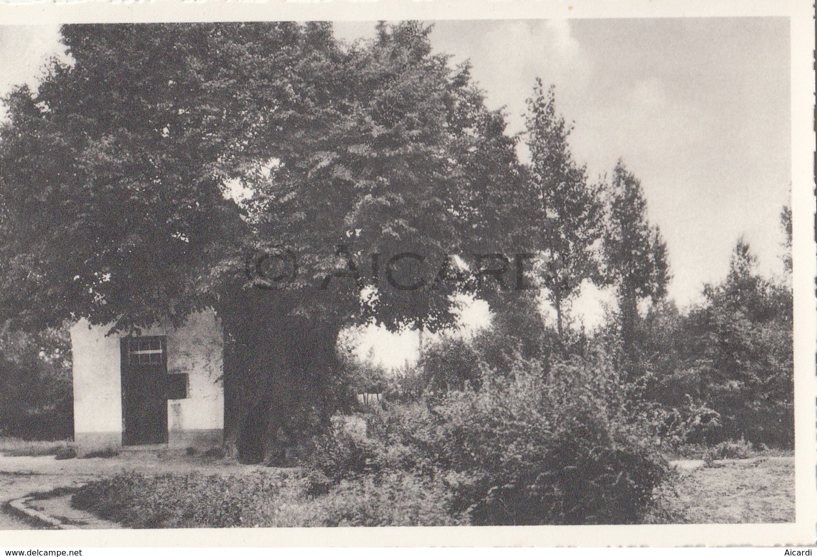 Postkaart/Carte Postale GEETBETS De St Rochuskapel  (C73) - Geetbets