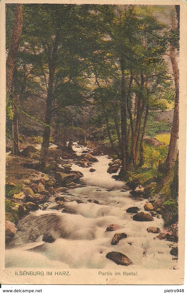 Ilsenburg Im Harz. (Deutschland, Sachsen Anhalt) Partie Im Ilsetal - Ilsenburg