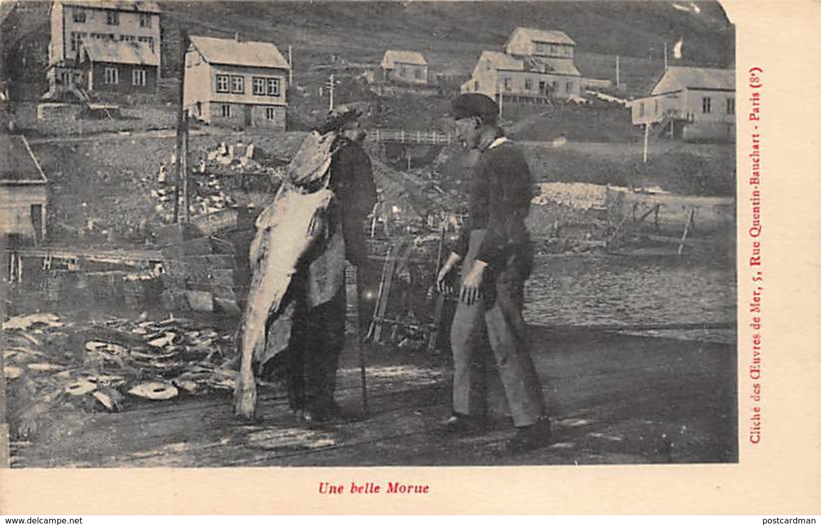 Saint-Pierre Et Miquelon - Une Belle Morue - Ed. Oeuvres De Mer. - Saint-Pierre-et-Miquelon