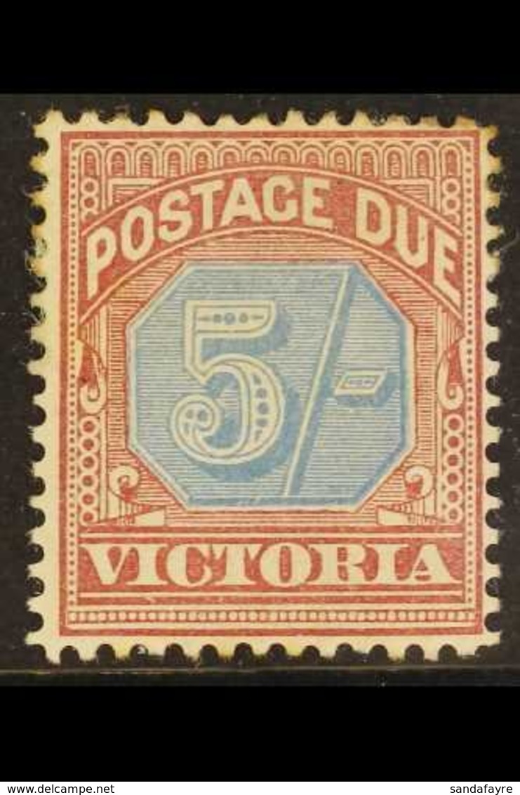 \Y VICTORIA\Y 1890-94 Postage Due 5s Dull Blue And Brown Lake, SG D10, Mint With Large Part Gum. For More Images, Please - Autres & Non Classés