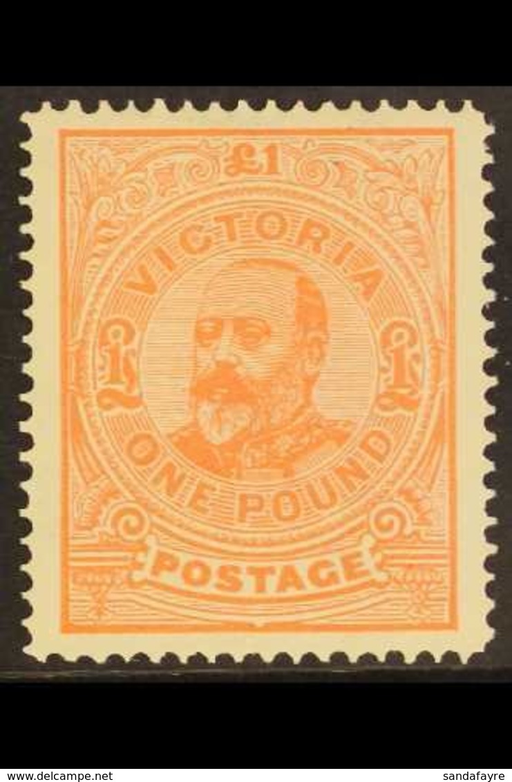 \Y VICTORIA\Y 1905-13 £1 Salmon King Edward VII,  Perf. 12½, SG 431, Superb Mint. For More Images, Please Visit Http://w - Other & Unclassified