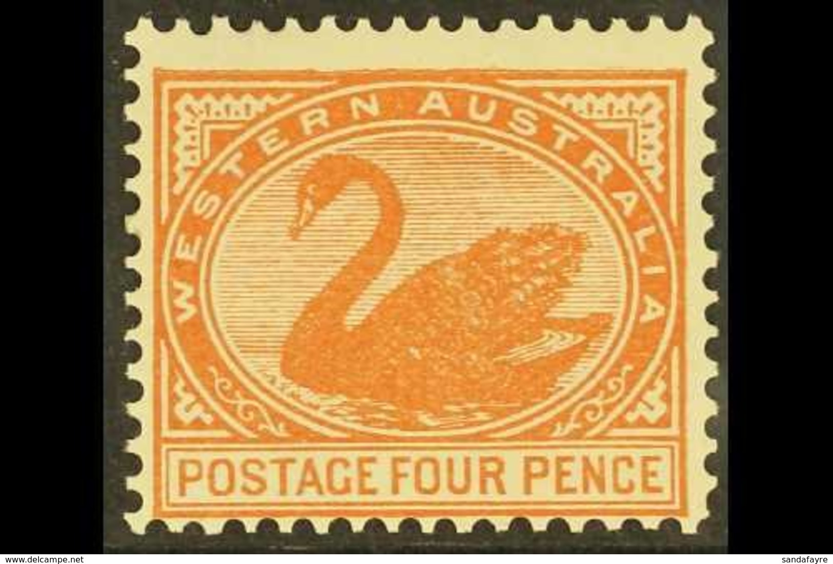 \Y WESTERN AUSTRALIA\Y 1902-11 4d Chestnut, Perf 12½, SG 119, Never Hinged Mint. For More Images, Please Visit Http://ww - Sonstige & Ohne Zuordnung