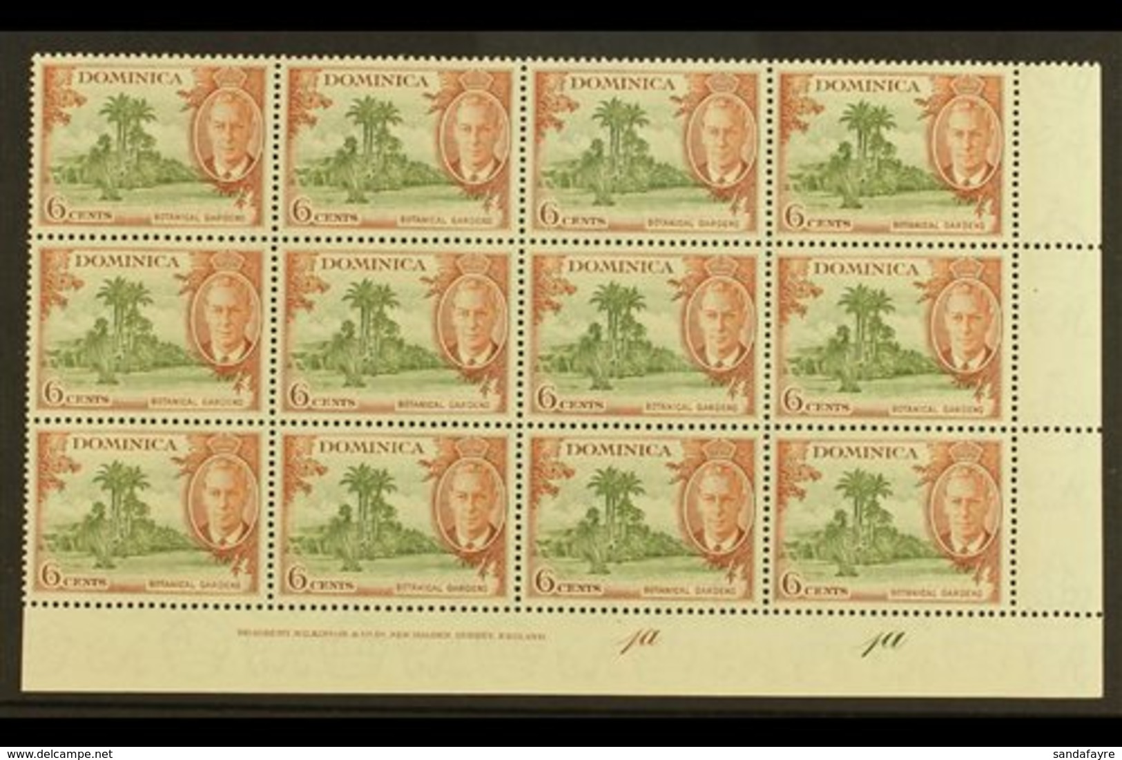 \Y 1951\Y 6c Olive & Chestnut "A" OF "CA" MISSING FROM WATERMARK Variety (SG 126b, MP 22b) Within Superb Never Hinged Mi - Dominica (...-1978)
