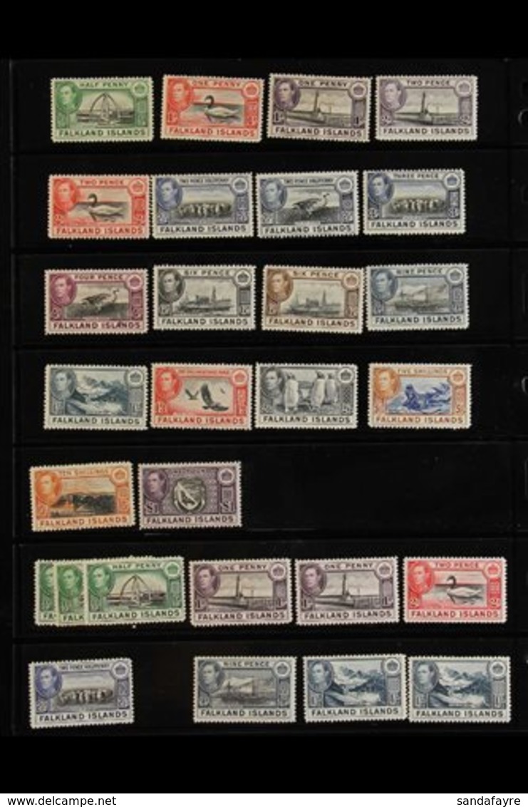 \Y 1891-1990 INTERESTING MINT & NEVER HINGED MINT RANGES\Y On Stock Pages, Includes 1891-1902 To 2½d, 1904-12 To 1s, 191 - Falkland