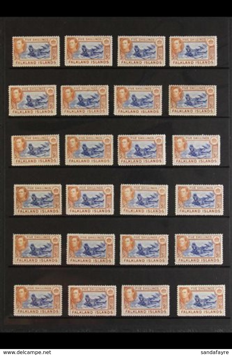 \Y 1938-50 5s "SEALION" SHADES ACCUMULATION CAT £4400+\Y A Pair Of Protective Stock Pages Bearing 37 Fine Mint Examples  - Falkland Islands