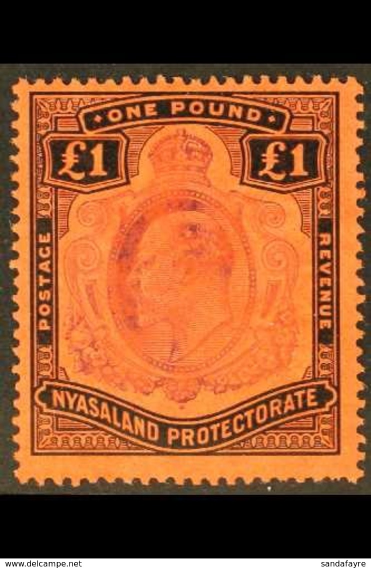 \Y 1908-11\Y £1 Purple And Black On Red, SG 81, Fine Mint. For More Images, Please Visit Http://www.sandafayre.com/itemd - Nyasaland (1907-1953)