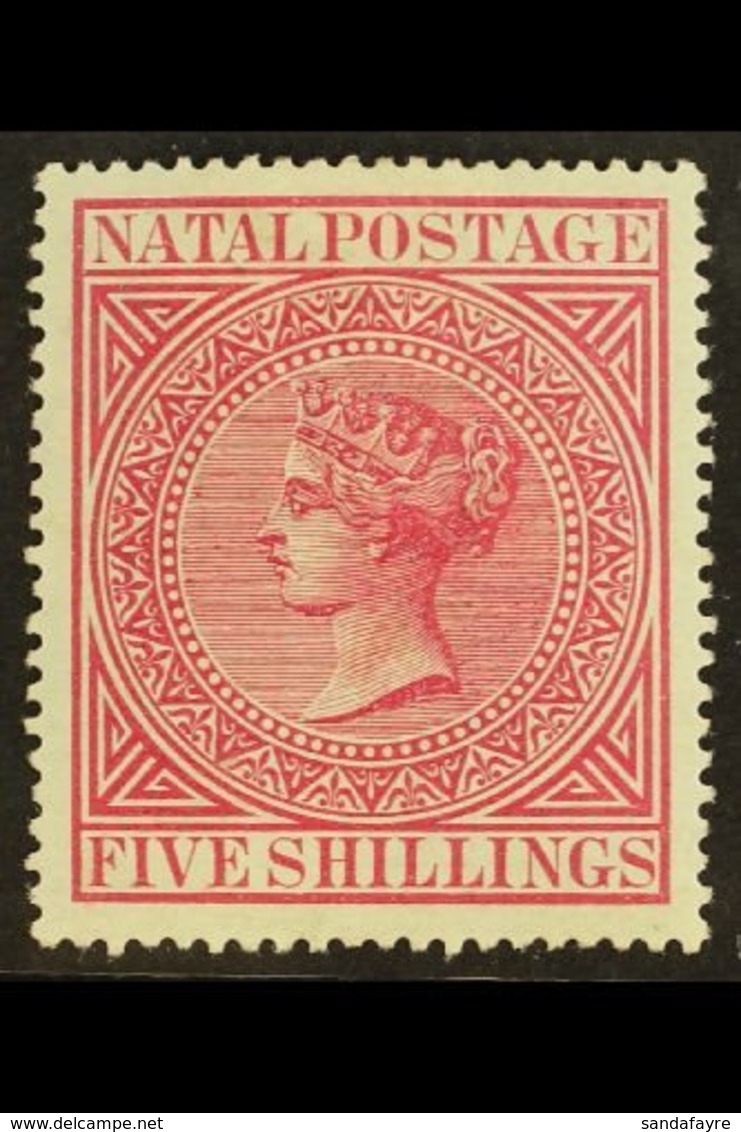 \Y NATAL\Y 1874 5s Rose, SG 72, Very Fine And Fresh Mint. For More Images, Please Visit Http://www.sandafayre.com/itemde - Non Classés