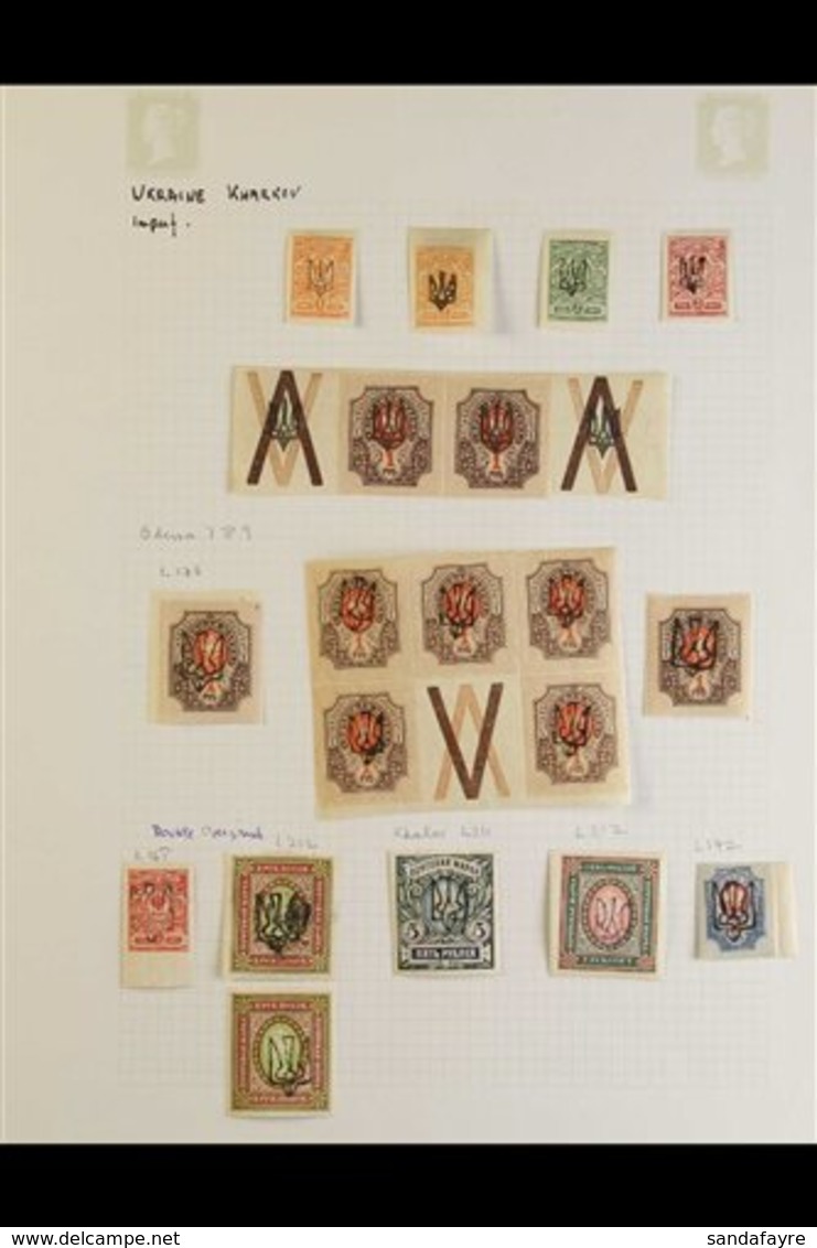 \Y 1918 LOCAL TRIDENT OVERPRINTS.\Y A Delightful Collection, Neatly Presented/identified On Written Up Album Pages. We S - Ukraine