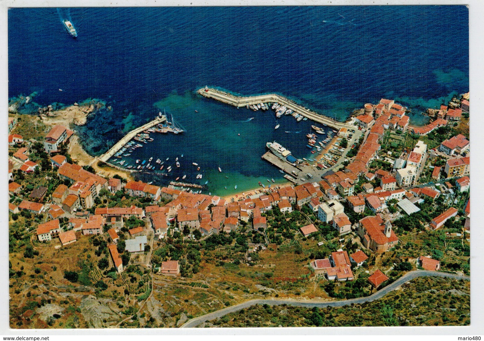 ISOLA   DEL  GIGLIO  (GR)    IL  PORTO   VEDUTA  AEREA        (VIAGGIATA) - Altri & Non Classificati