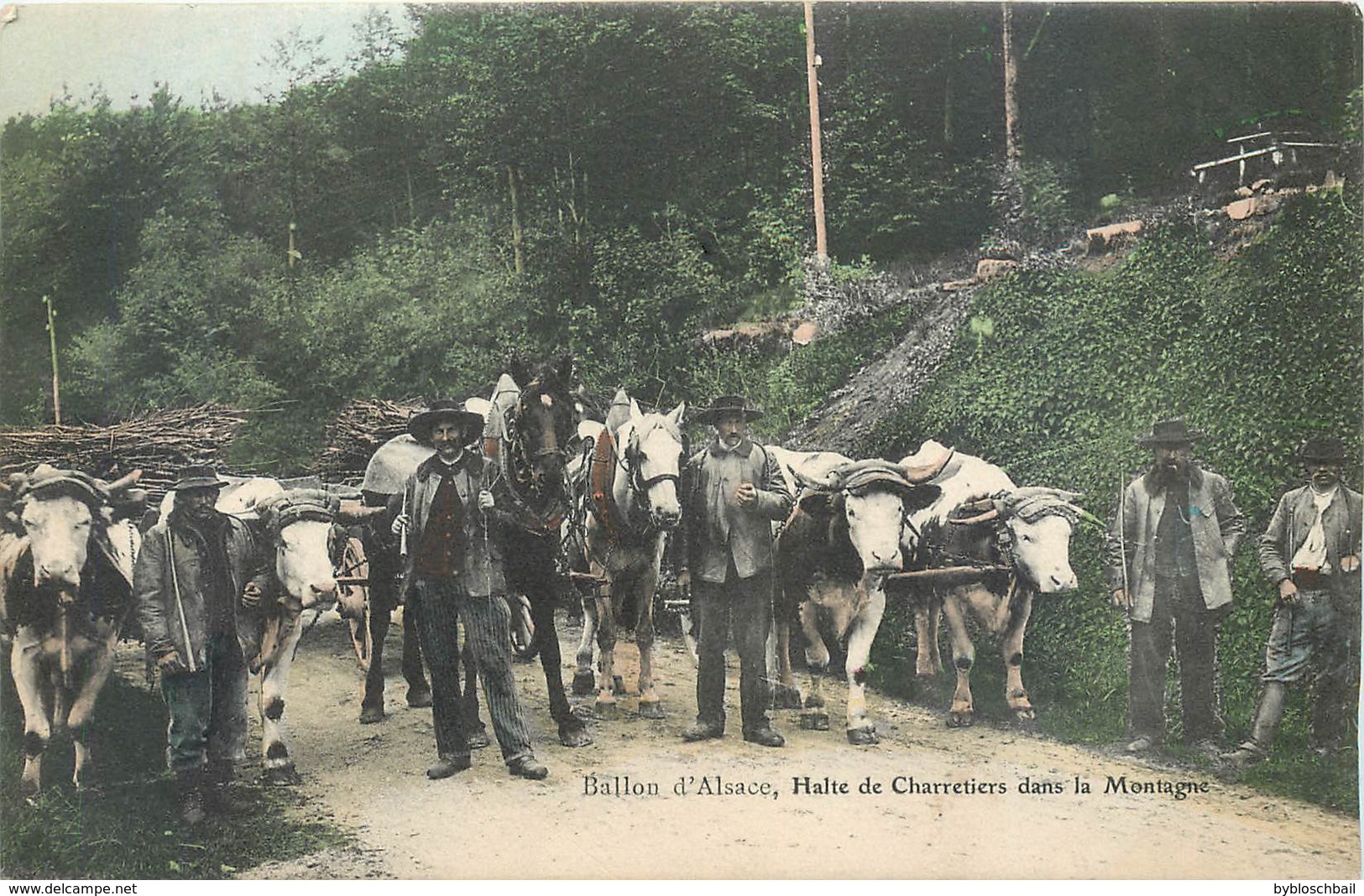 CPA 90 Territoire De Belfort Ballon D'alsace Halte De Charretiers Dans La Montagne Attelage Boeufs Chevaux Bois - Autres & Non Classés