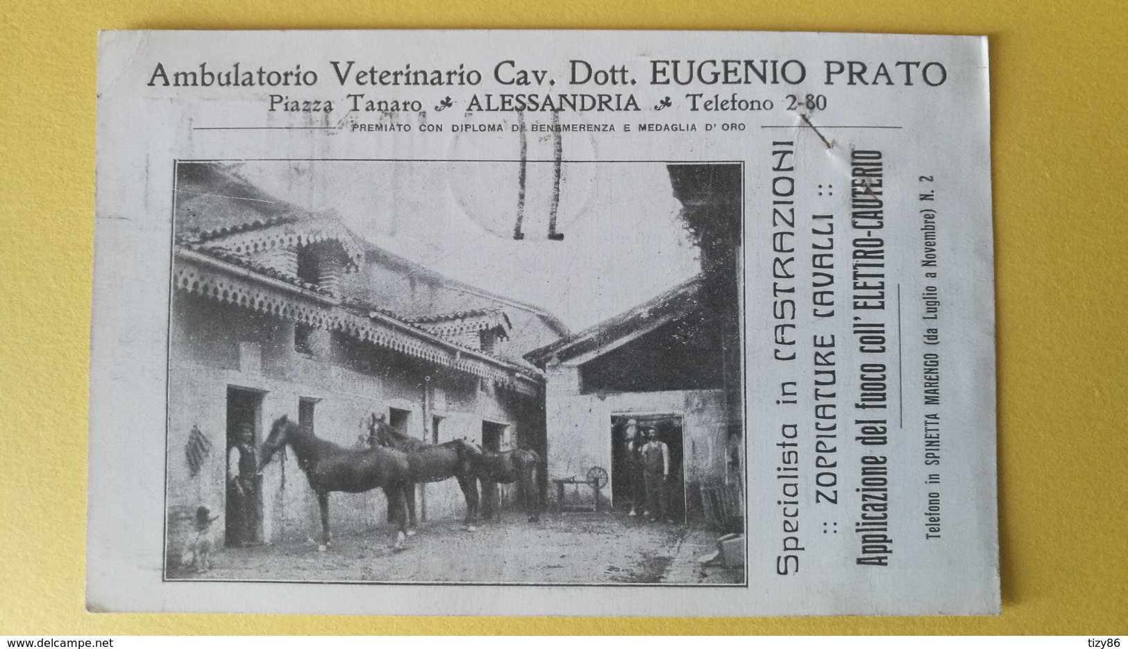 Ambulatorio Veterinario Cav. Dott. Eugenio Prato - Alessandria - Alessandria
