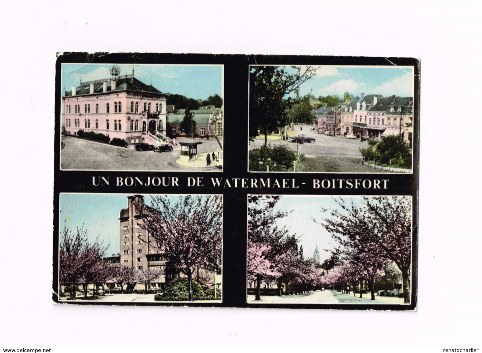 Un Bonjour De Watermael-Boitsfort.Multivues.Expédié à Den Haan. - Watermael-Boitsfort - Watermaal-Bosvoorde