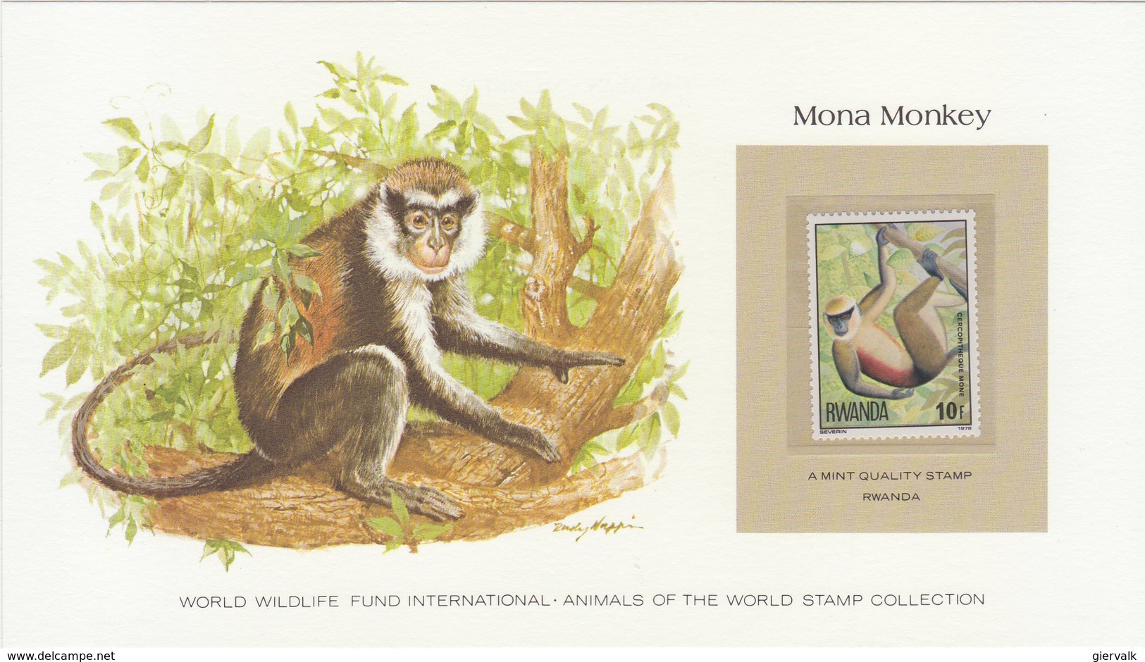 RWANDA Mona Monkey.BARGAIN.11 - Apen