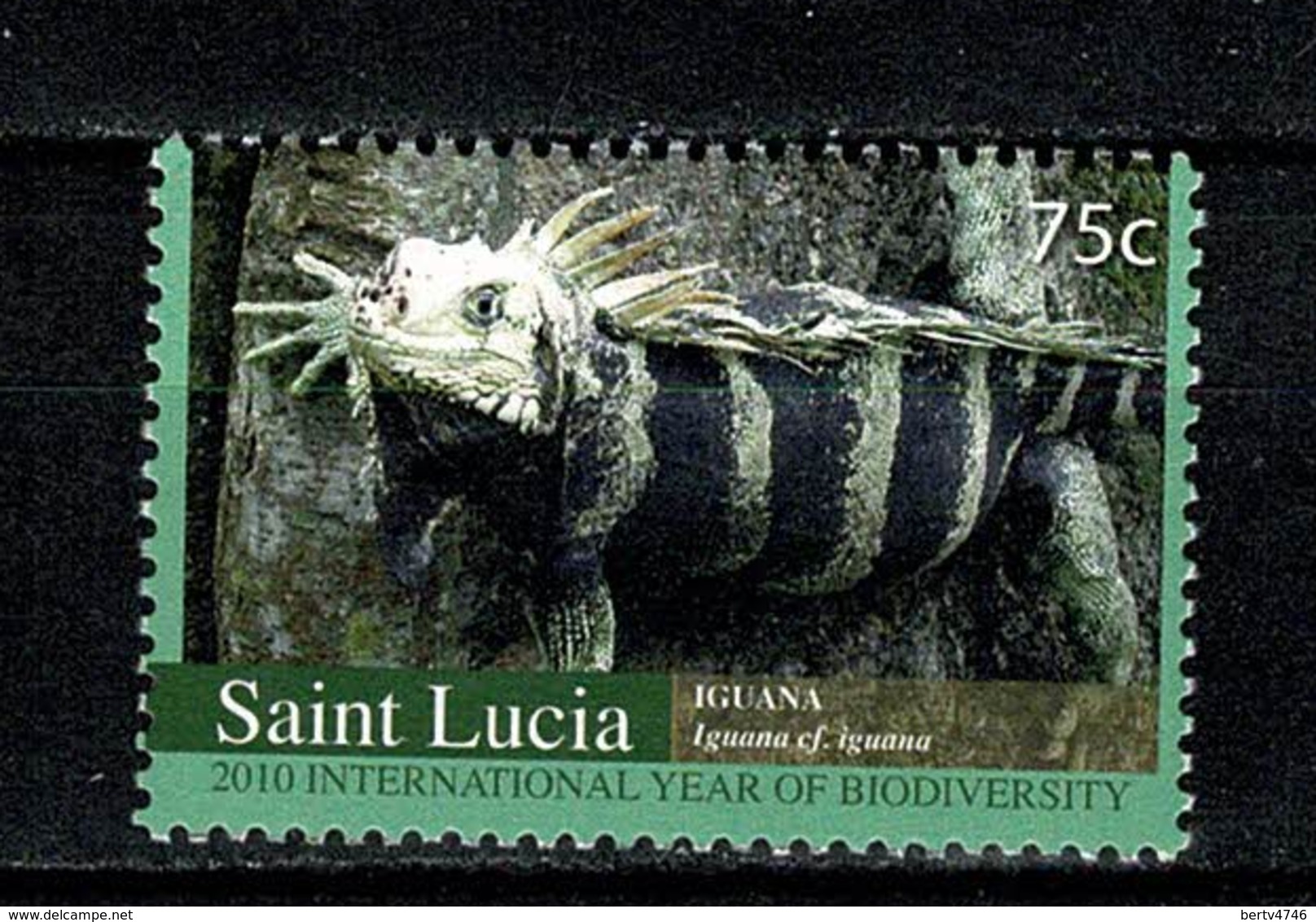 Saint Lucia 2010 Mi 1287** MNH Iguana - St.Lucia (1979-...)