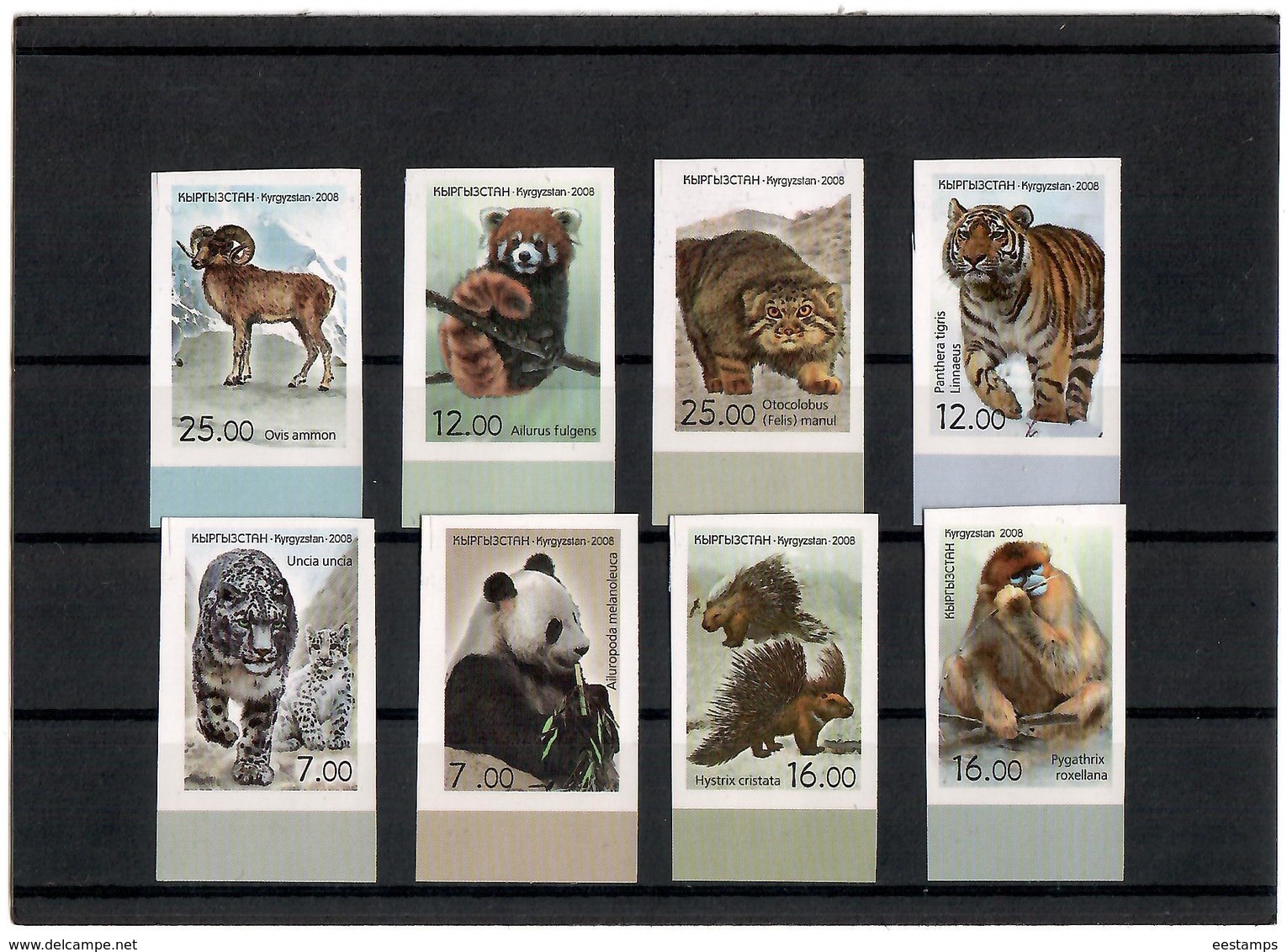 Kyrgyzstan.2008 Fauna Of Asia. Imperf 8v: 7,7,12,12,16,16,25,25.  Michel # 510-17 B - Kirghizistan