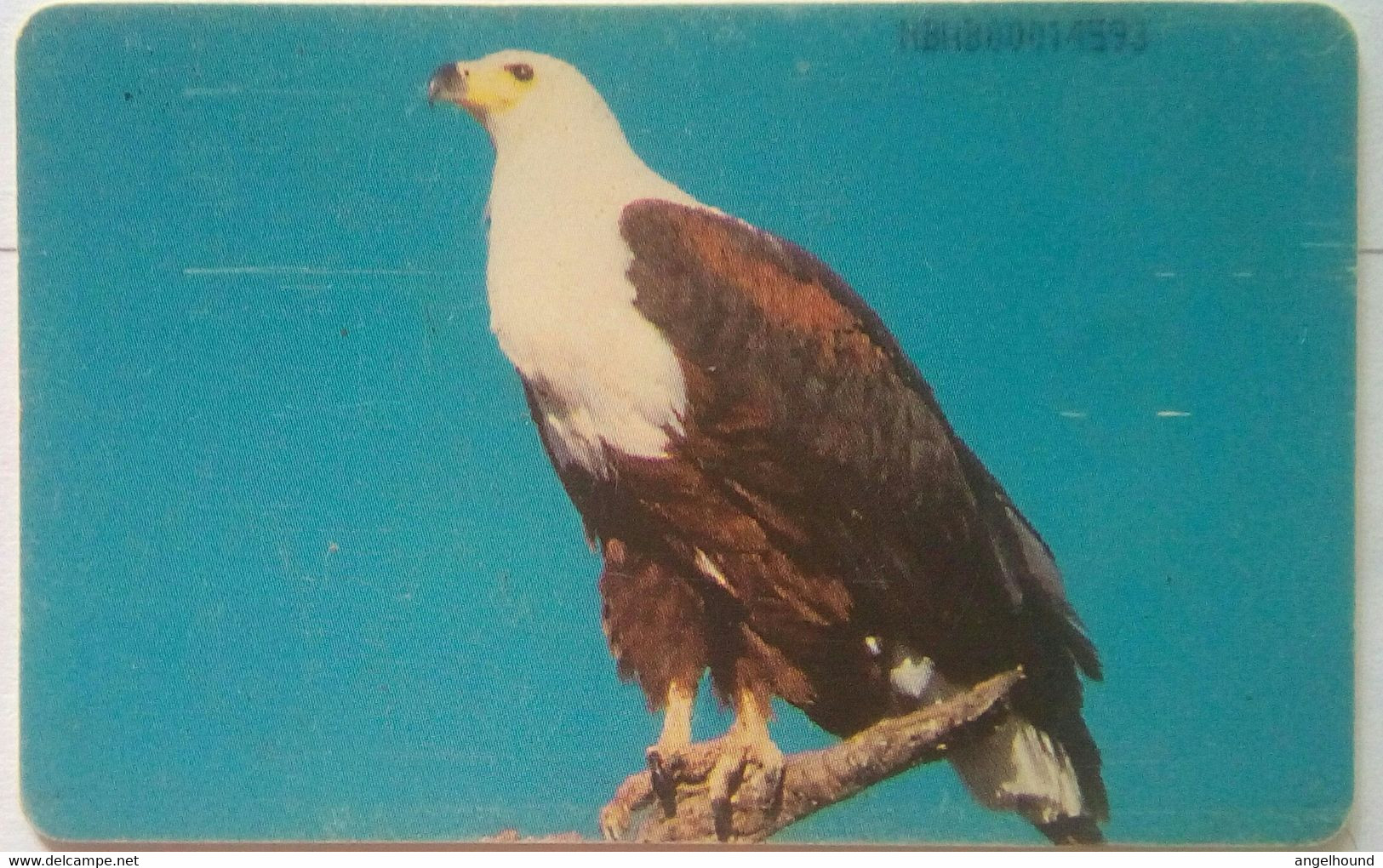 600 Units African Eagle   (previously Unknown RRR) Talafon - Nigeria