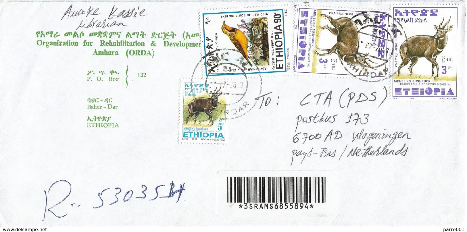 Ethiopia 2003 Bahirdar Endemic Bird Abyssinian Long Claw Bushbuck Registered Cover - Ethiopie