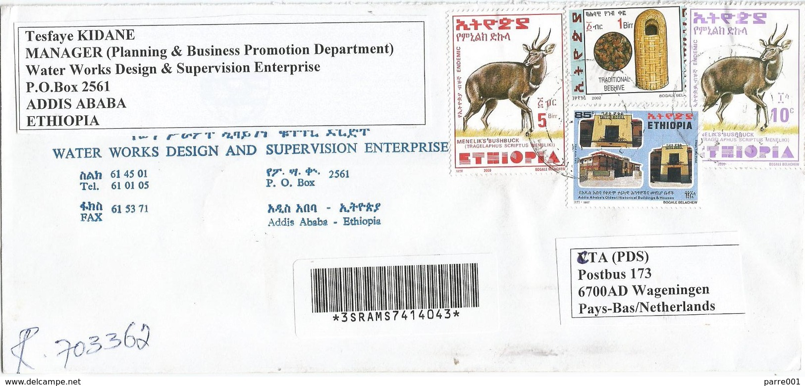 Ethiopia 2003 Addis Ababa Taiti Hotel Bee Hive Registered Cover - Ethiopie