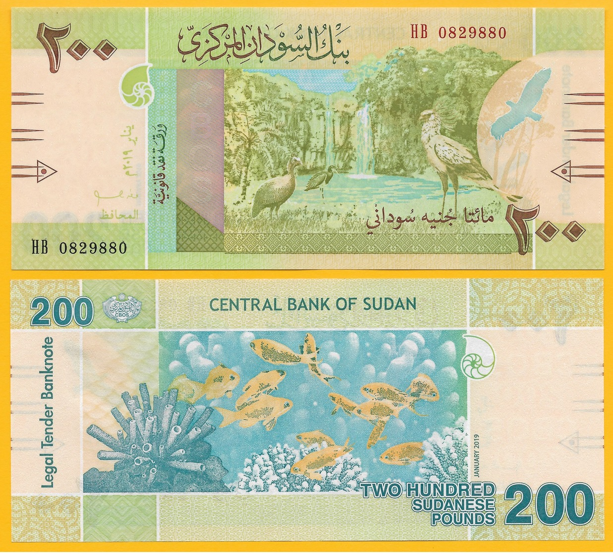 Sudan 200 Pounds P-new 2019 UNC - Soudan