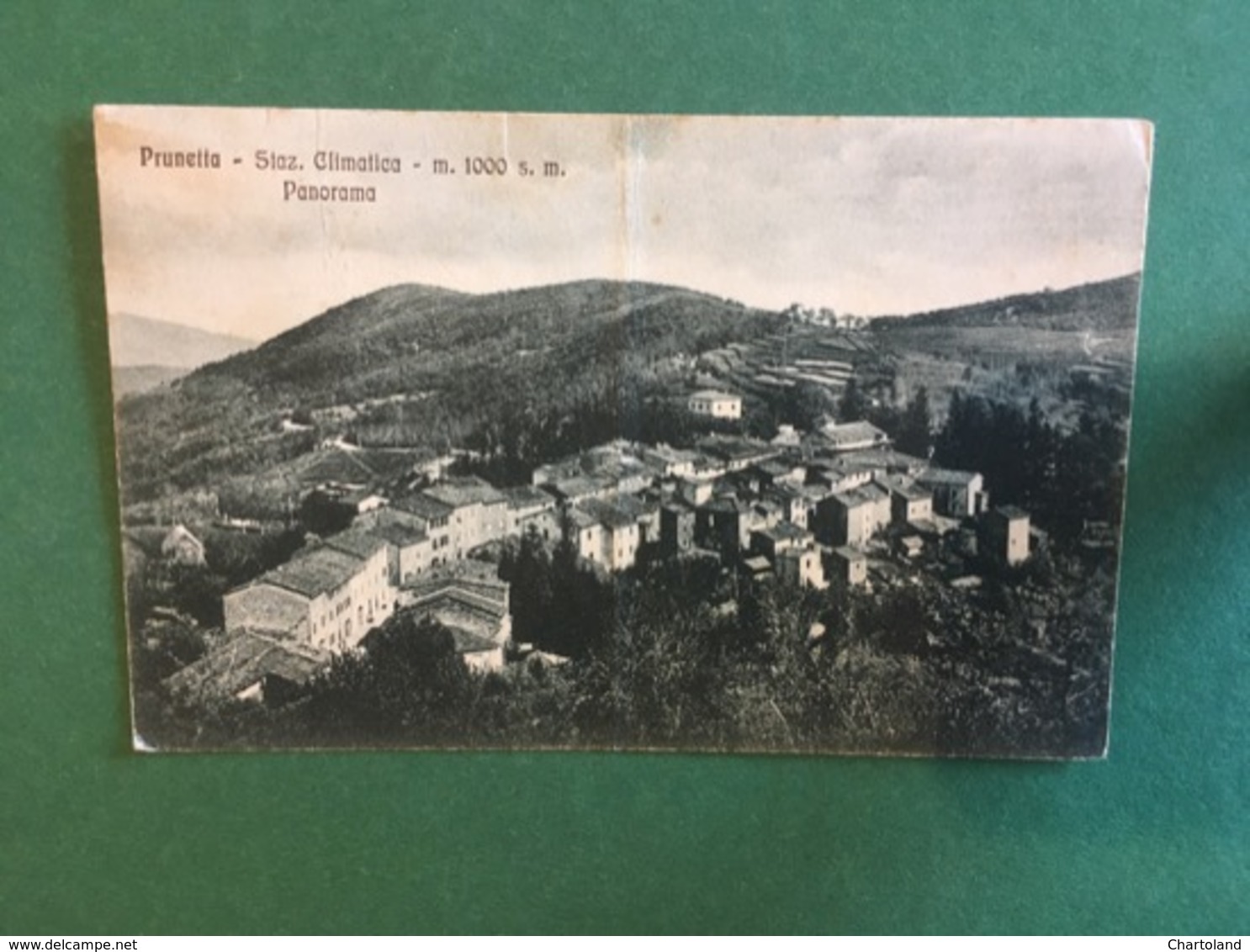 Cartoline Prunetta - Staz. Climatica - M.1000 S.m. - Panorama - 1932 - Firenze