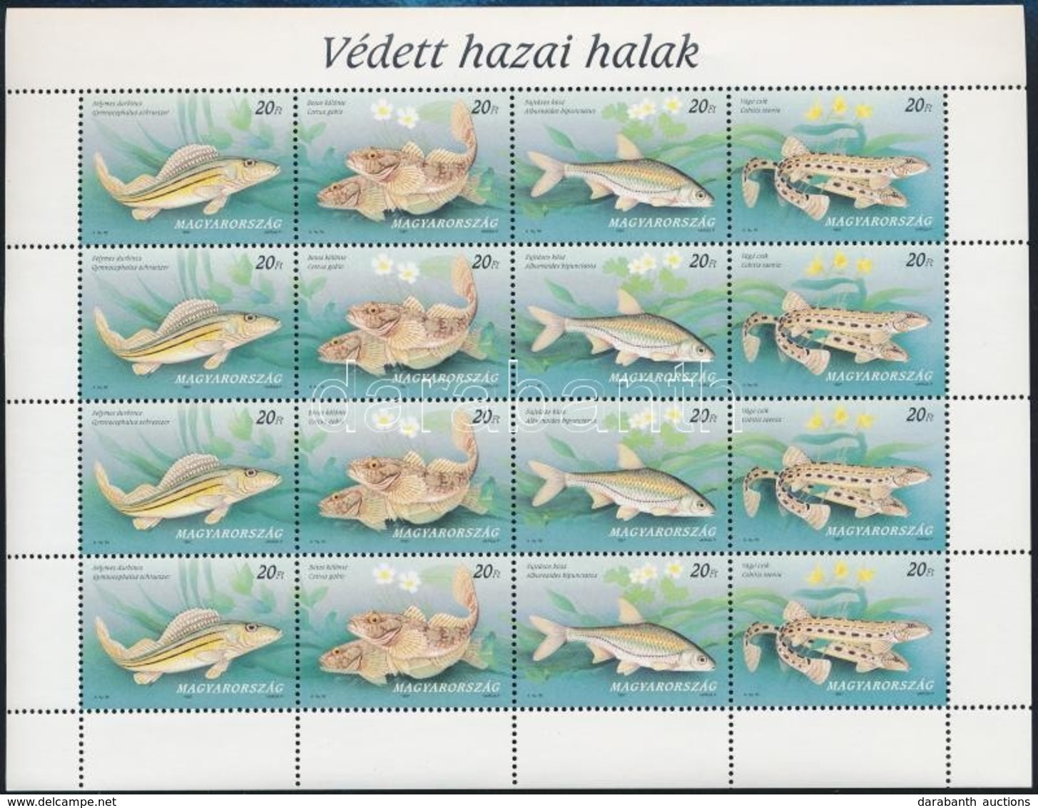 ** 1997 Védett Hazai Halak 5 Db Teljes ív (11.000) - Autres & Non Classés