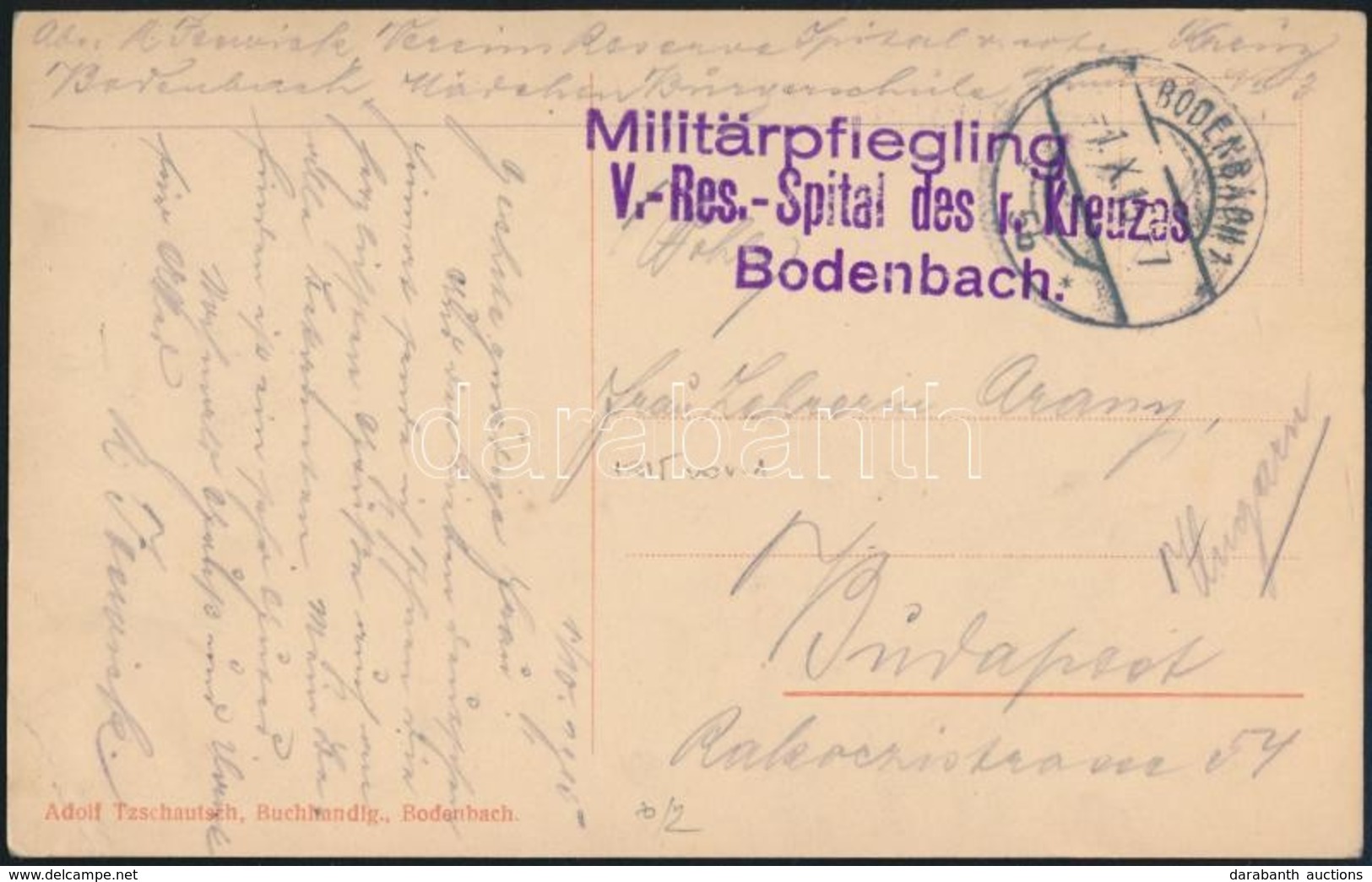 1915 Tábori Posta Képeslap 'V.-Res.-Spital Des R. Kreuzes Bodenbach' - Sonstige & Ohne Zuordnung