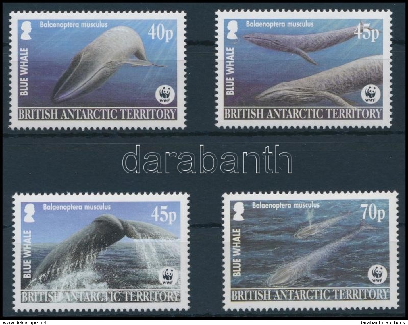 ** 2003 WWF Bálnák Sor,
WWF Whales Set
Mi 353-356 - Autres & Non Classés