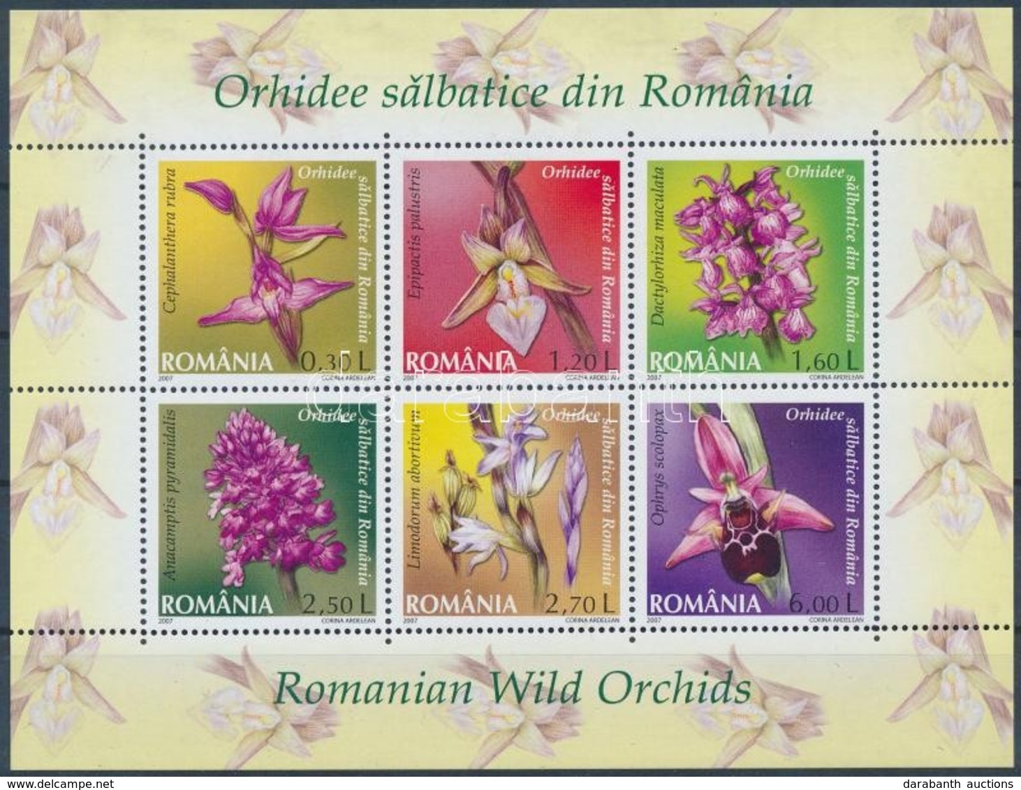 ** 2007 Vadon élő Orchideák Kisív Mi 6174-6179 A - Sonstige & Ohne Zuordnung