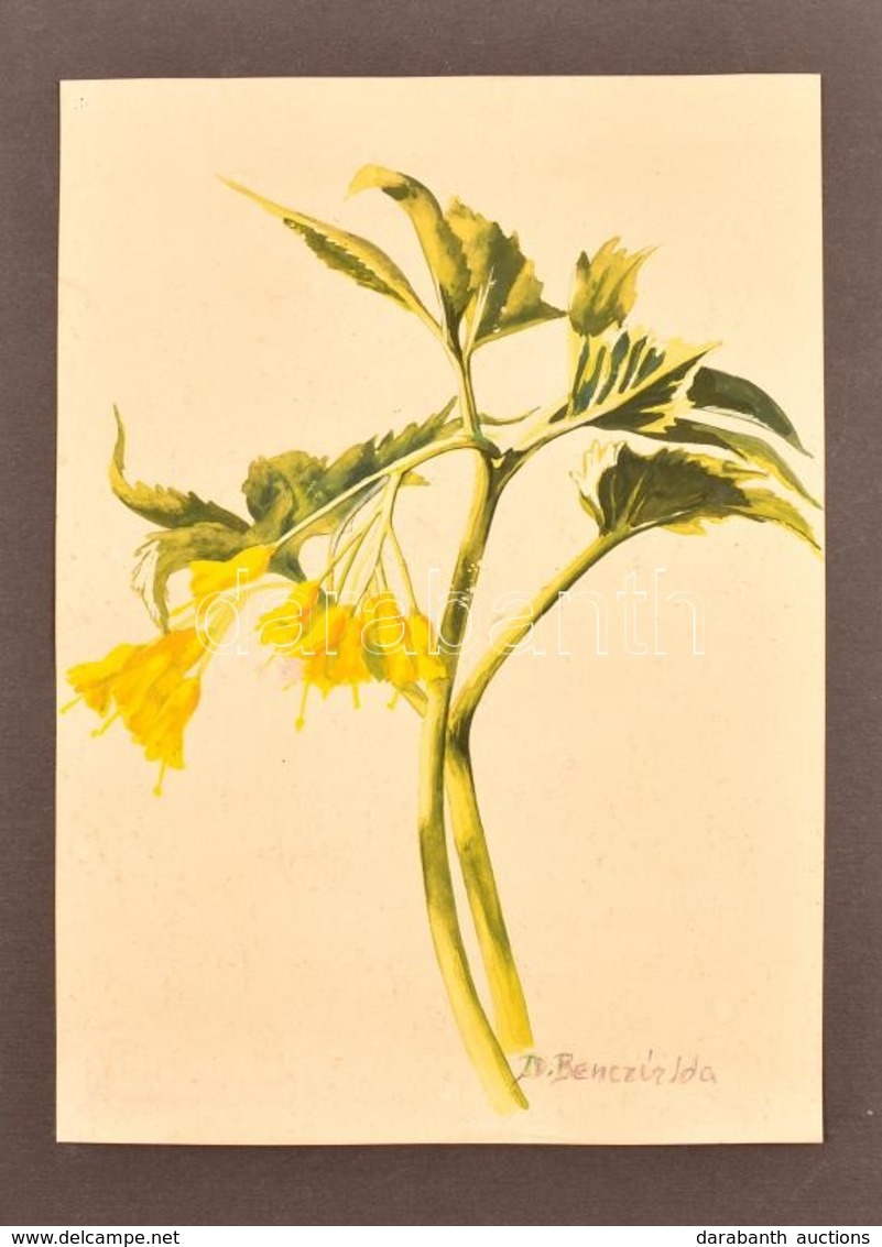 Benczúr Jelzéssel: Harangvirág. Akvarell, Papír, 22×16 Cm - Autres & Non Classés