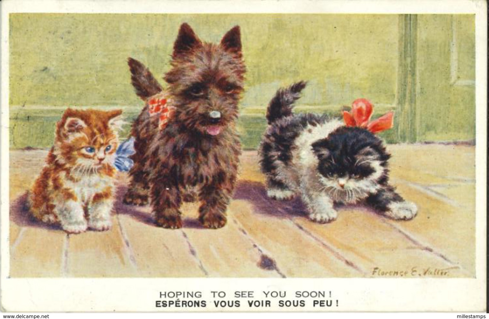 1 CPA Valentine's PC - Hoping To See You Soon - Ill. F. VALTER - 1931 - Cats & Dog - Valter, Fl. E.