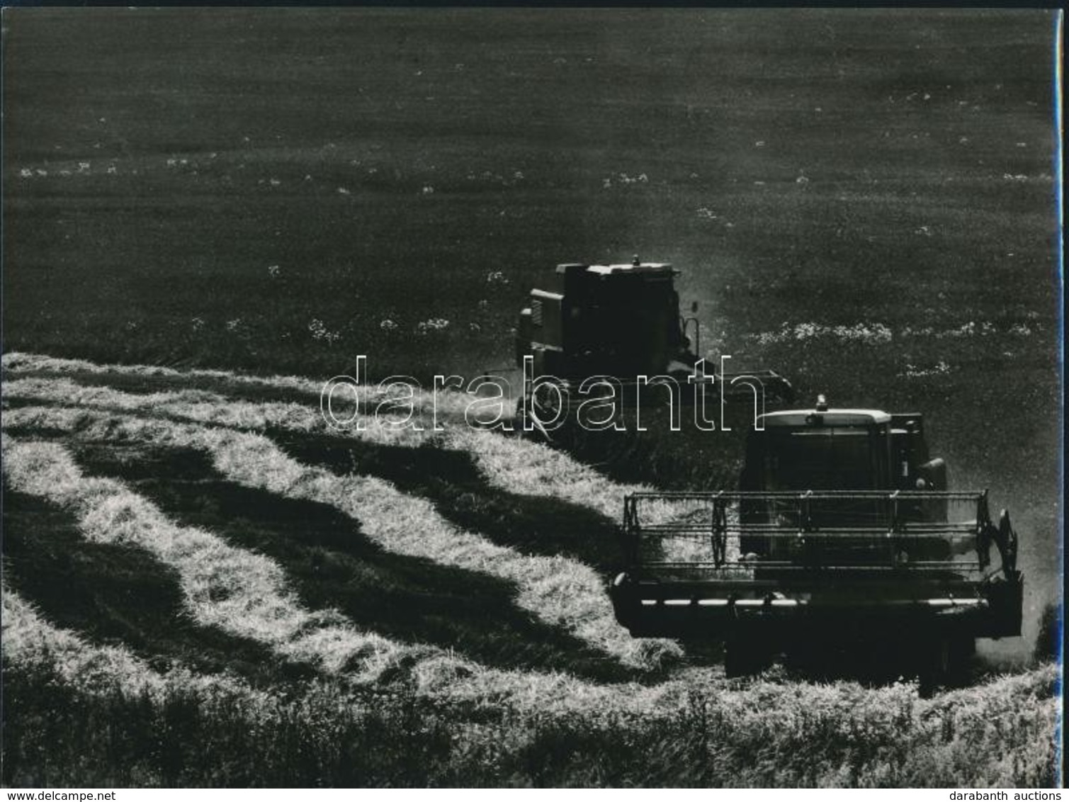 Cca 1966 Szabó László: Aratás, Feliratozott Vintage Fotóművészeti Alkotás, 18x24 Cm - Andere & Zonder Classificatie