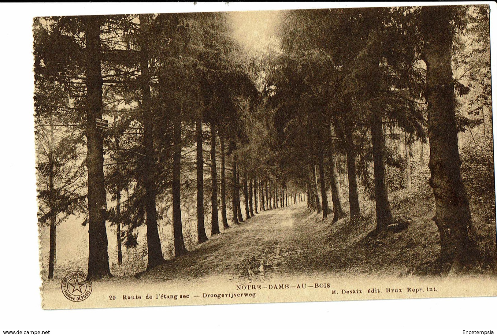 CPM - Carte Postale -Belgique  Notre Dame Au Bois(Jesus Eik Route De L'Etang Sec VM951 - Overijse