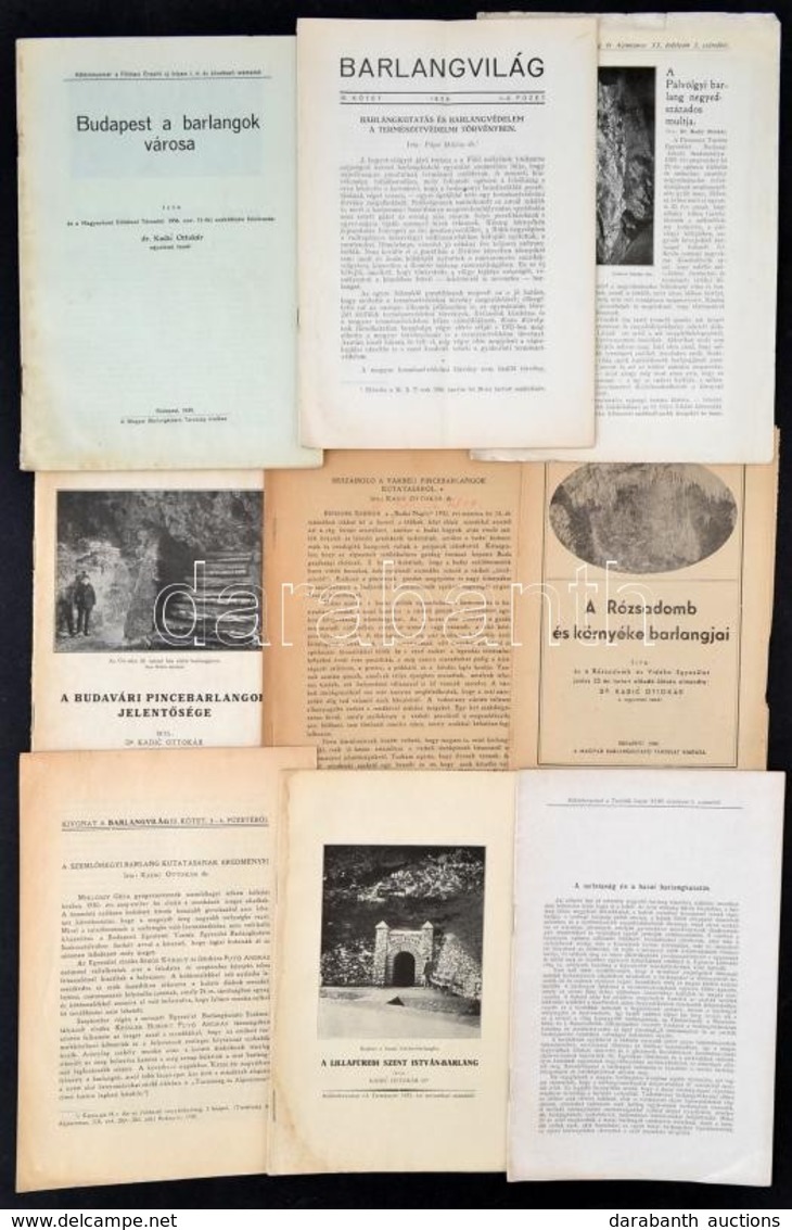 Cca 1930 Barlangászati Témájú Különlenyomatok, Cikkek Gyűjteménye, Nagyrészt Kadič Ottokár Munkái, Néhány Közülük Dediká - Ohne Zuordnung