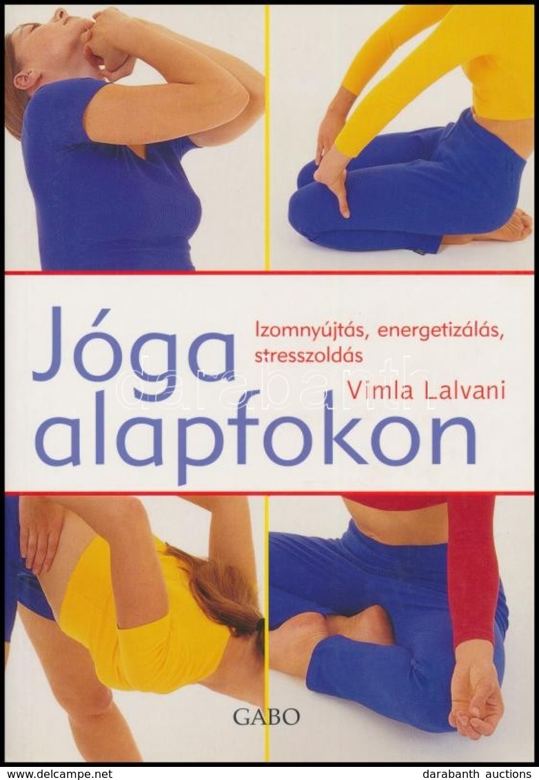 Vilma Lalvani: Jóga Alapfokon. Fordította: Meskó Krisztina. Bp.,2005,Gabo. Kiadói Papírkötés. - Non Classés